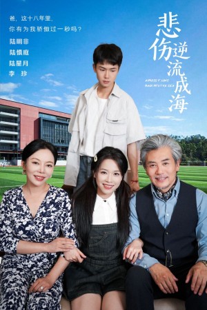 《悲伤逆流成海》（36集）