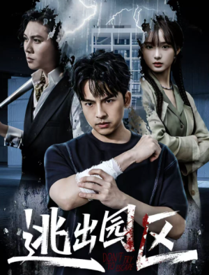 逃出园区（28集）