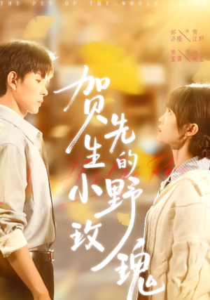 贺先生的小野玫瑰（99集）