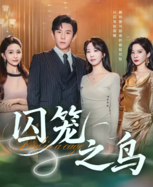 囚笼之鸟（52集）