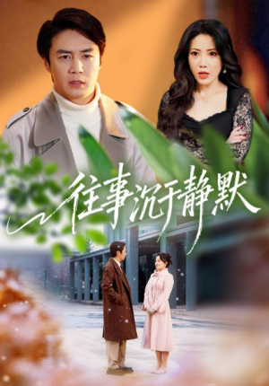 往事沉于静默（70集）