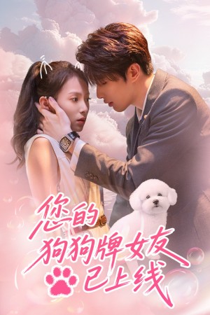 您的狗狗牌女友已上线（60集）