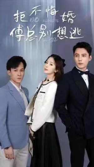 《拒不悔婚傅总别想逃（拒不悔婚，傅总别想逃）》