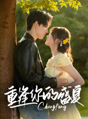 重逢你的盛夏(66集)