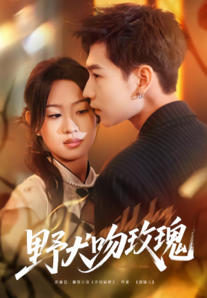 野犬吻玫瑰（70集）