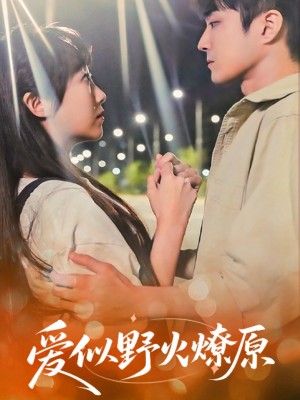 爱似野火燎原（47集）
