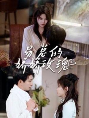 《易总的娇娇玫瑰》(96集)