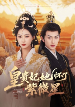 皇贵妃她怀了紫薇星(80集)
