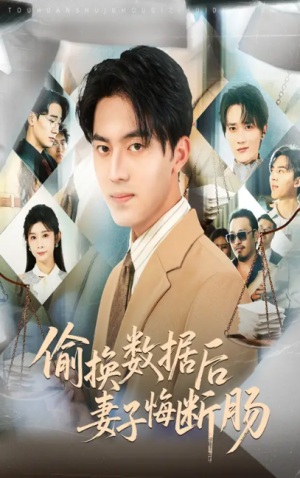 偷换数据后妻子悔断肠(63集)