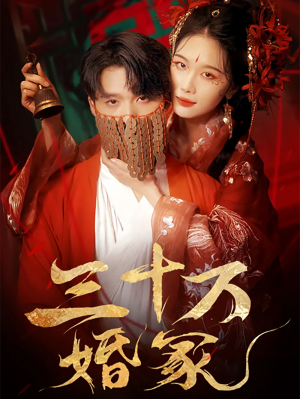 三十万婚冢(51集)