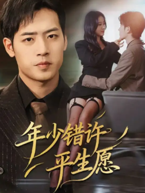 年少错许平生愿（65集）