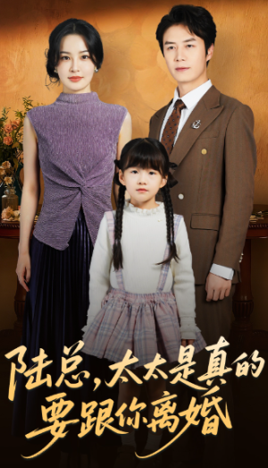 陆总太太是真的要跟你离婚（52集）