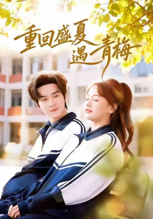 重回盛夏遇青梅（68集）