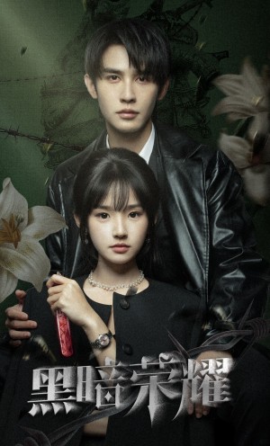 黑暗荣耀（66集）