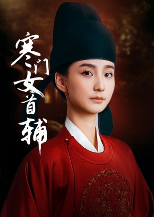 寒门女首辅(80集)