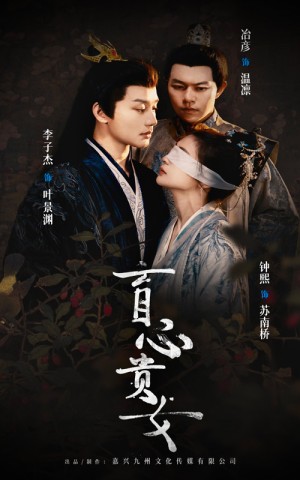 盲心贵女（42集）