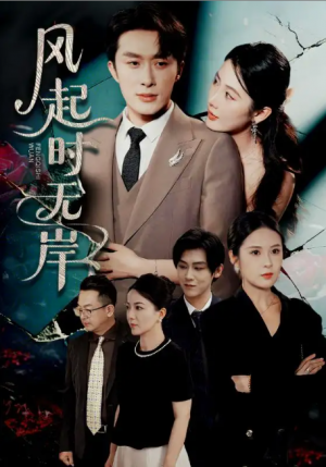 风起时无岸(58集)