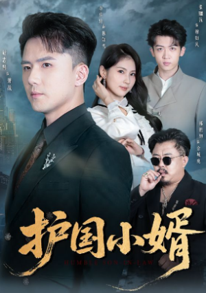 护国小婿（60集）