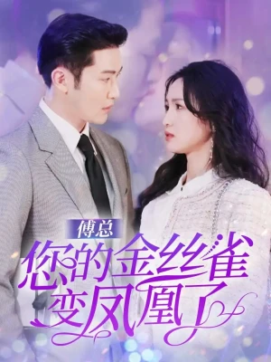 《傅总您的金丝雀变凤凰了》（80集）