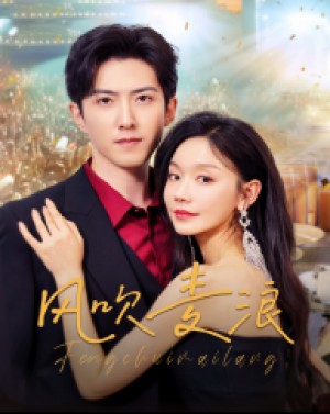 风吹麦浪（62集）