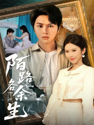 陌路各余生（65集）