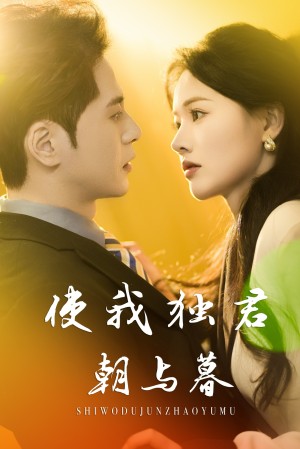 使我独君朝与暮（30集）