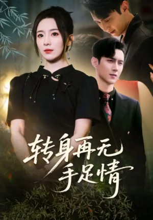 转身再无手足情(71集)