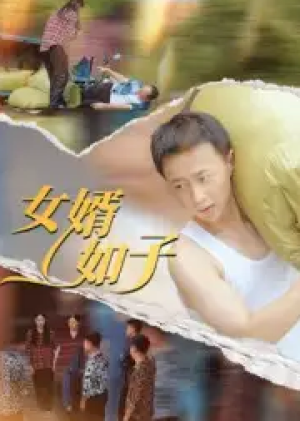 女婿如子（40集）