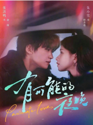 有可能的夜晚（81集）