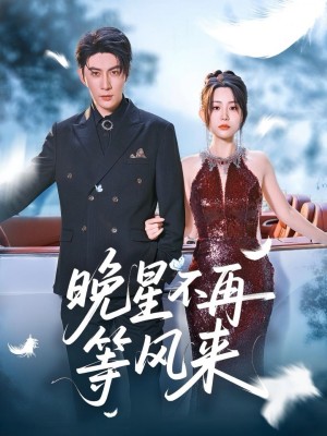 晚星不再等风来（65集）