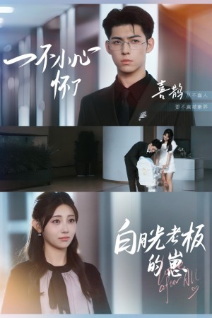 一不小心怀了白月光老板的崽(66集)