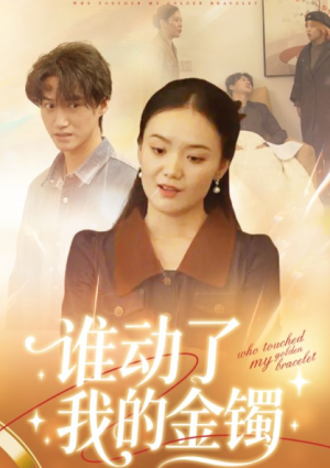 谁动了我的金镯（30集）