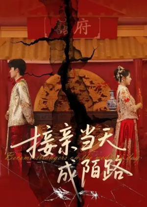 接亲当天成陌路(50集)