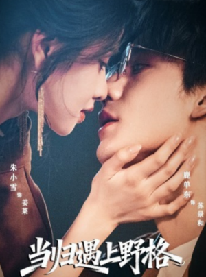 当归遇上野格（66集）