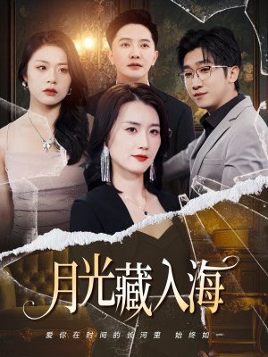 月光藏入海(70集)