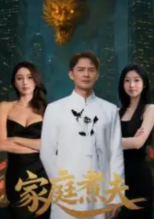 家庭煮夫（65集）